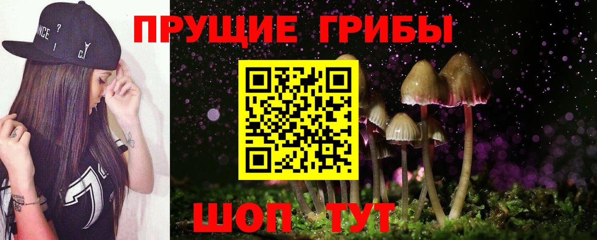 Красноармейск  купить наркотики цена  Вход с VPN  Псилоцибиновые грибы Psilocybine cubensis 